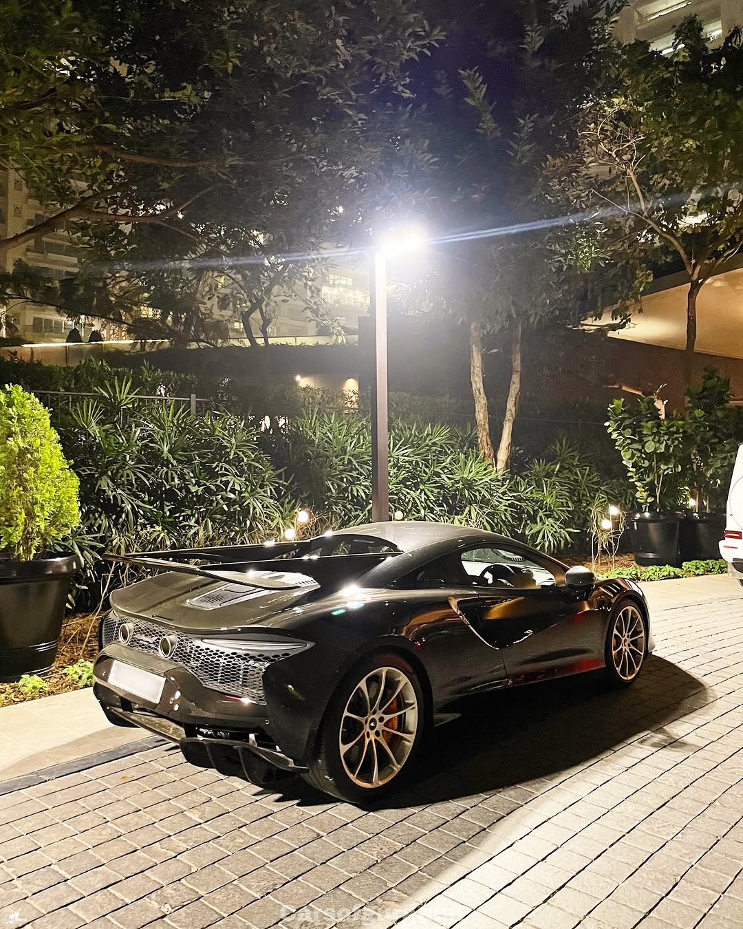 N Style Carbon Fiber Rear Wing for McLaren Artura