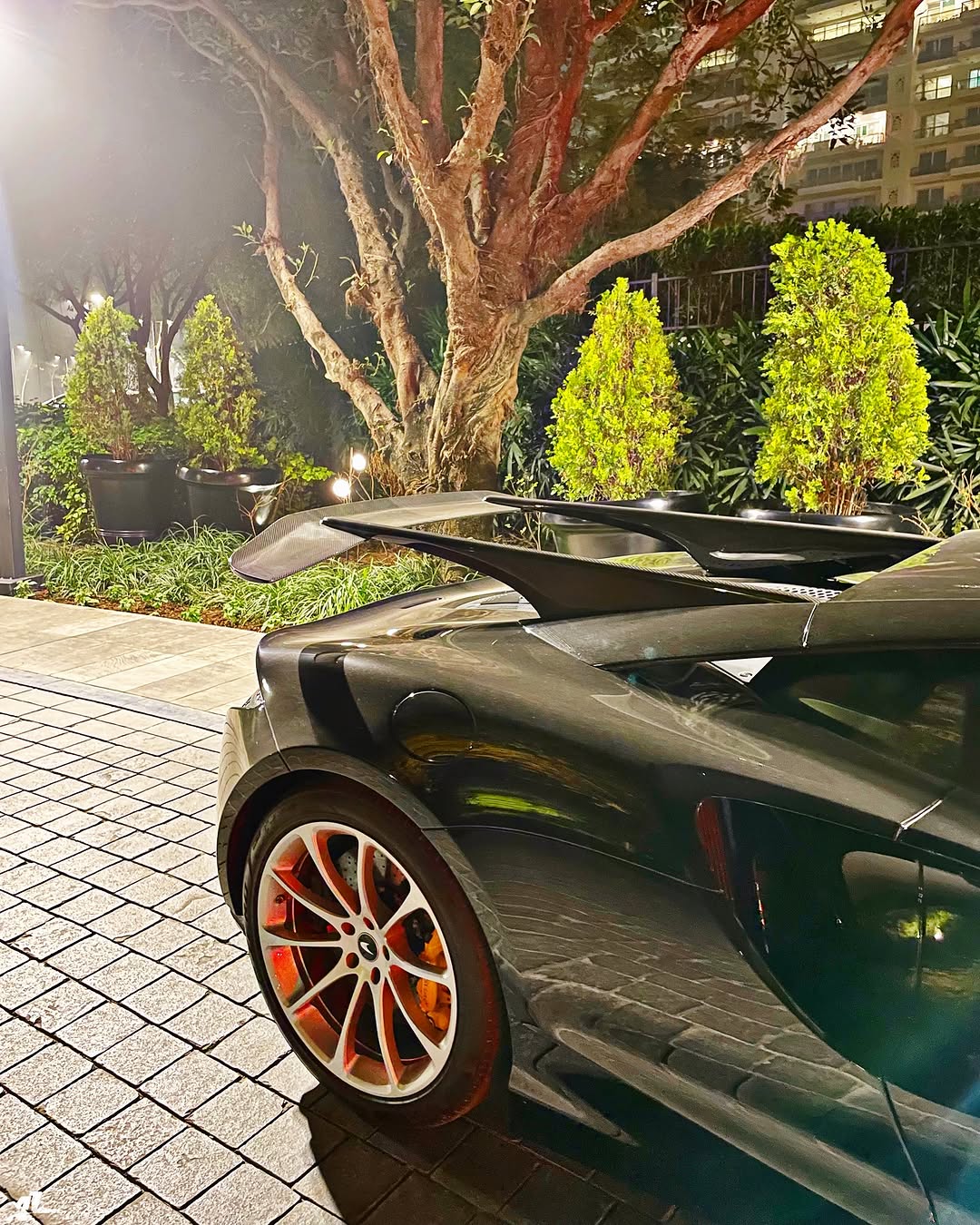 N Style Carbon Fiber Rear Wing for McLaren Artura